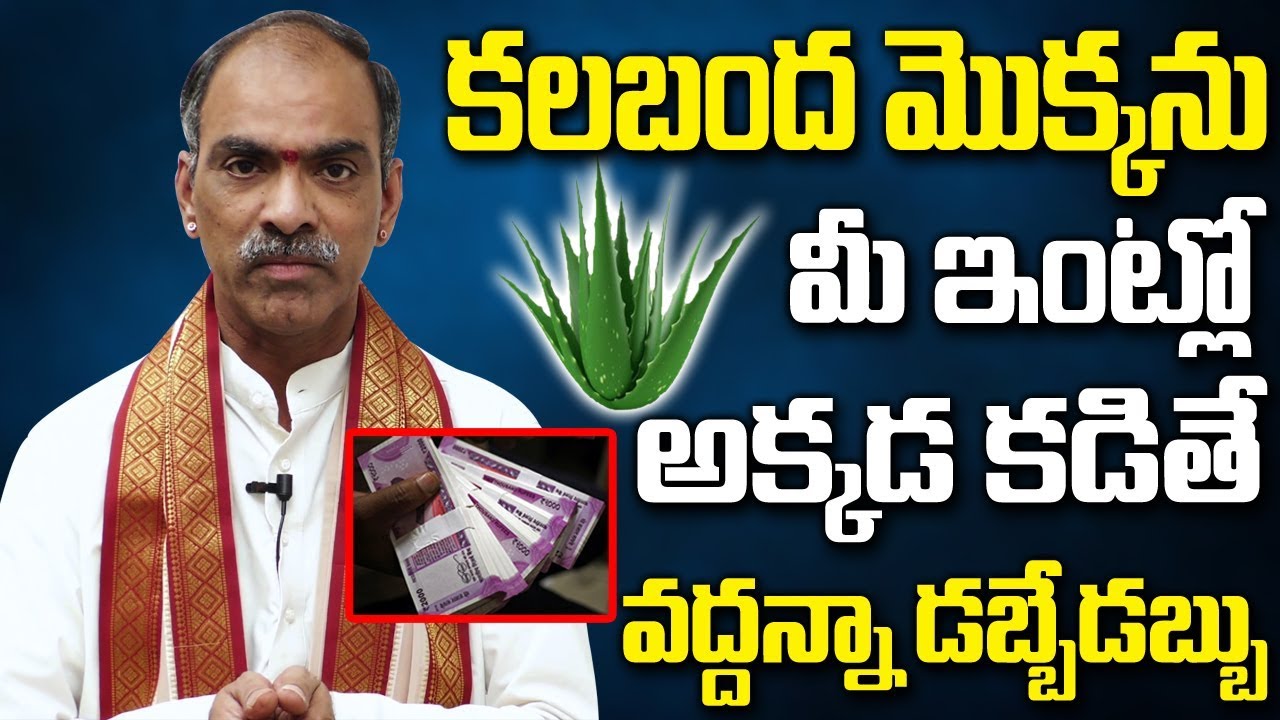 కలబంద మొక్కను ఇంట్లో అక్కడ కడితే వద్దన్నా డబ్బే డబ్బు || Interesting Facts About Aloe Vera