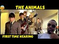 FIRST TIME HEARING The Animals The House Of The Rising Sun 1964 REACTION So Much SOUL!!
