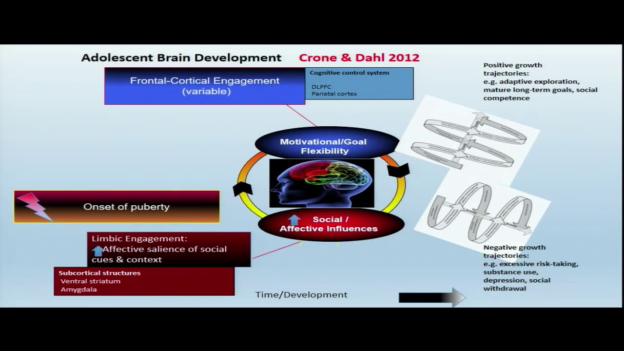 Adolescent Brain Development What It Means For High Schools - 