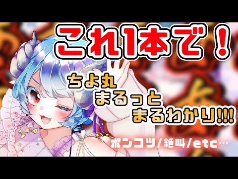 ちよ丸ちゃんねる -Chiyomaru- - YouTube
