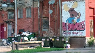 Celebrity 1 Dead In Shooting Near U Of M West Bank Wealth