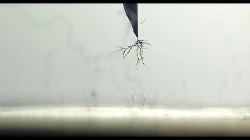 Electrical tree in Chile - 3