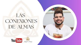 Las conexiones de Almas - Bhagavan Vásquez