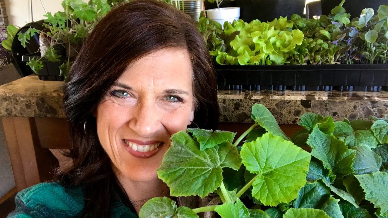 🍅 LIVE: Growing Indoor Veggie Seedlings: Your Most Common Questions ...