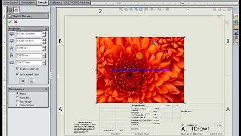 How to insert a picture in the SOLIDWORKS 1