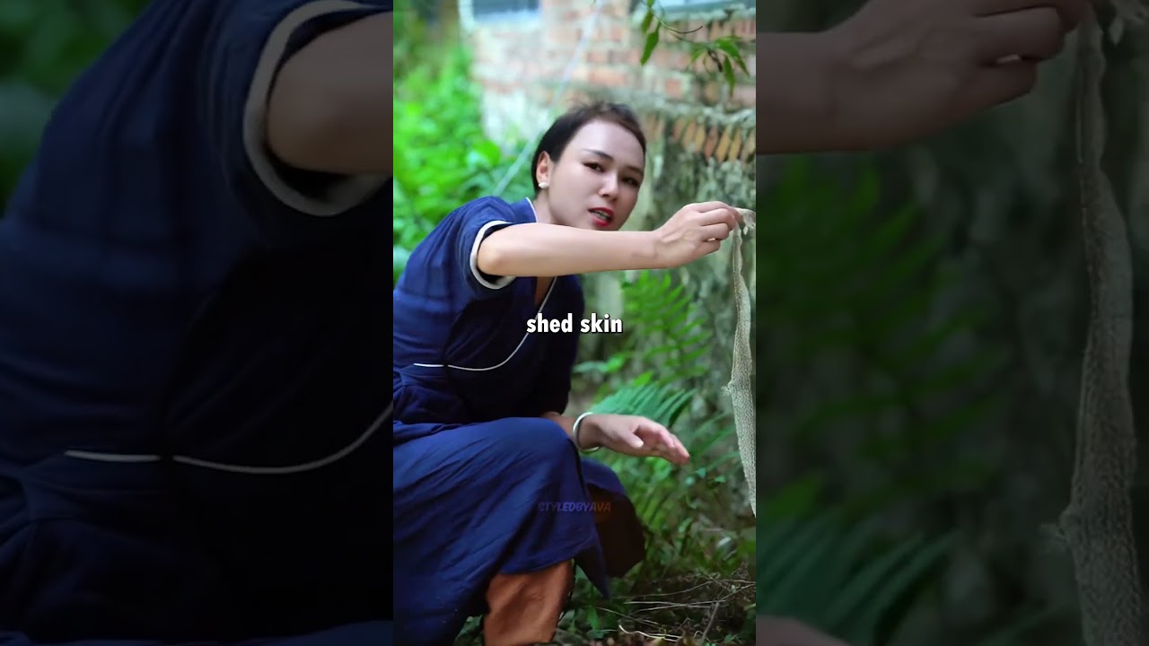 🐍 3 Signs a Snake Is Hiding in Your House Right Now 😨