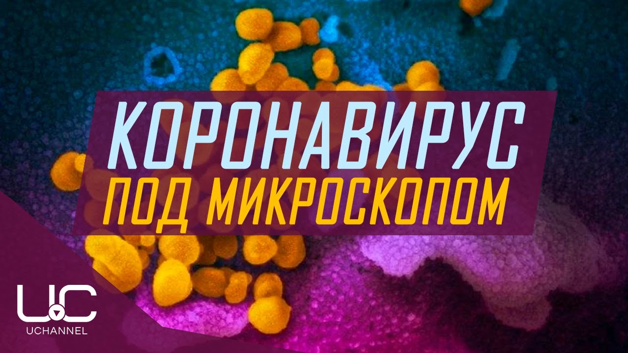 КИТАЙСКИЙ КОРОНАВИРУС ПОД МИКРОСКОПОМ | CORONAVIRUS MICROSCOPE IMAGES