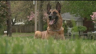 Retired Southwick police dog, K9 Jax, has passed away
