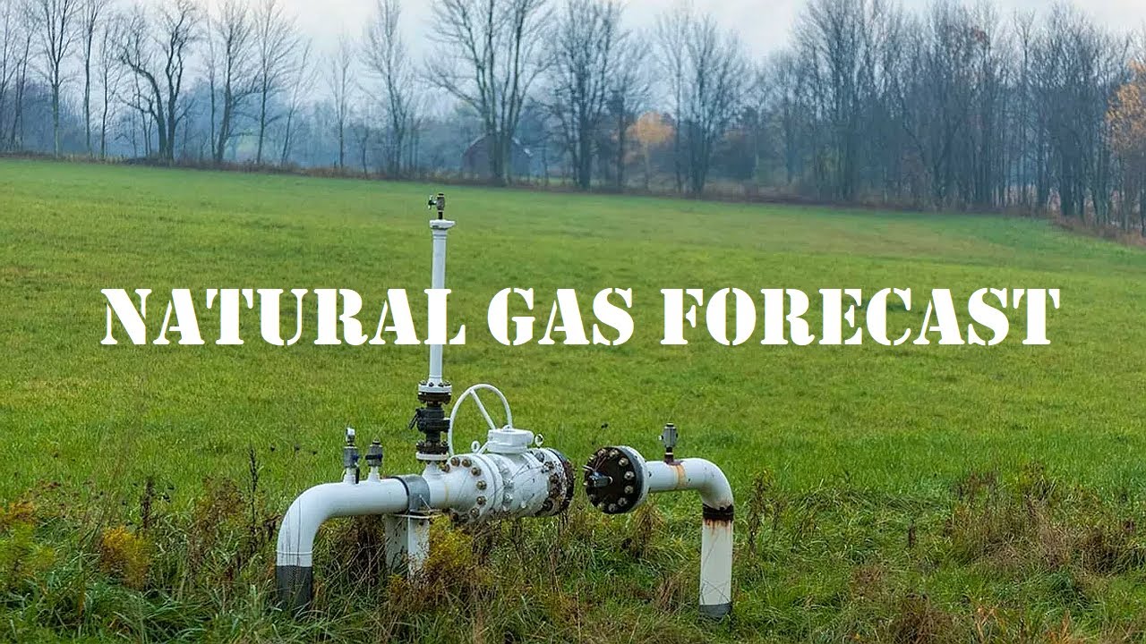 Gas Analysis Explained at Lester Nash blog