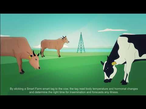 Smart Farm