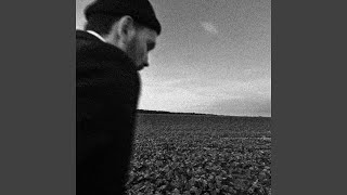 Download Lagu tAiga MP3