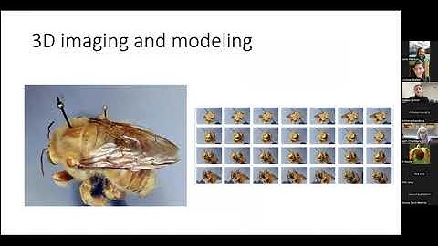 Symbiota Support Group: Image Tagging with Colleen Smith