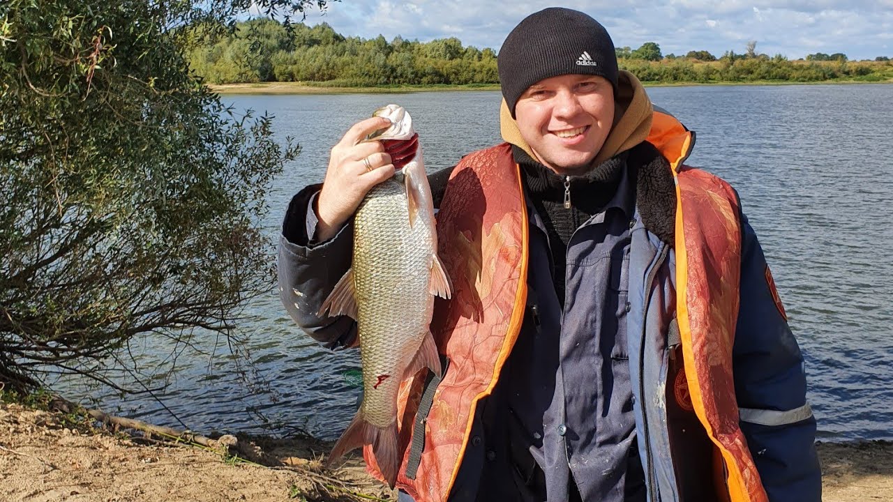 рыбак с оки ютуб. река ока рыбалка на фидер.