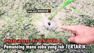 Download Lagu JUST 1 HOUR‼️EXCEPTIONAL EL FISHING RESULTS MP3