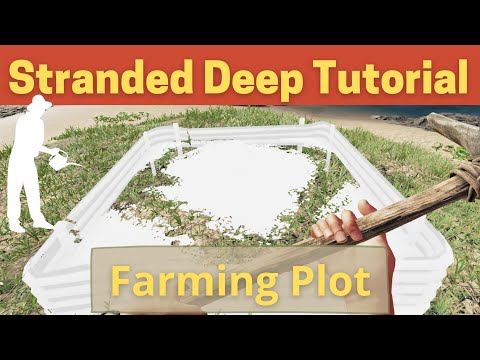 How To Water Yucca Plant Stranded Deep