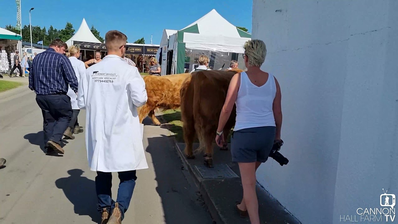 Ted at the Great Yorkshire Show 2021