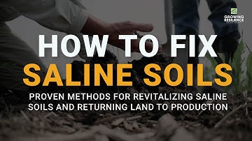 Fix Saline Soils: Regenerative Farmers/Ranchers Share Proven Tips for Restoring Soil Health & Yields