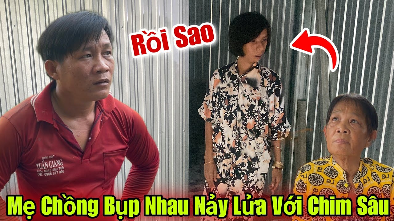 Biến Căng Mẹ Chồng Dùng Biện Pháp Mạnh Với Chim Sâu Khiến Anh Long Quyết Định Làm Chuyện Này