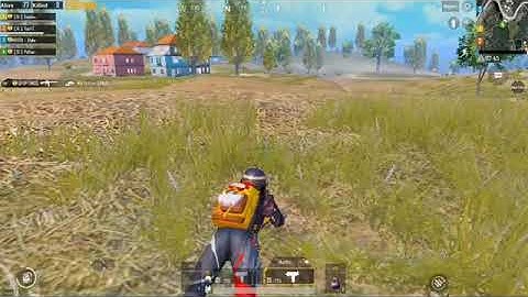 ALPHA AND TIPA LAUGHING ON PYTHON