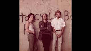 Rumble Fish by S.E. Hinton CHAPTER 3 (fast)