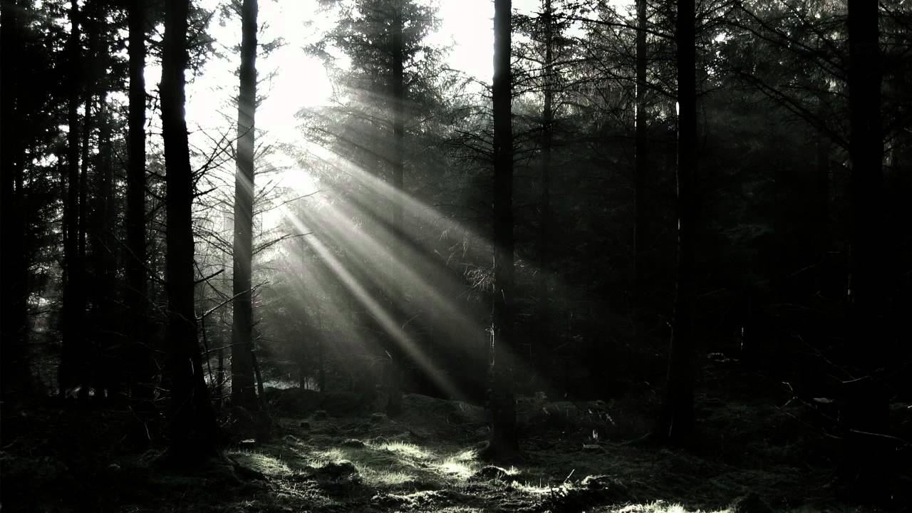 Eksperimentoj - Note