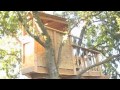 The Tree House - Part Two