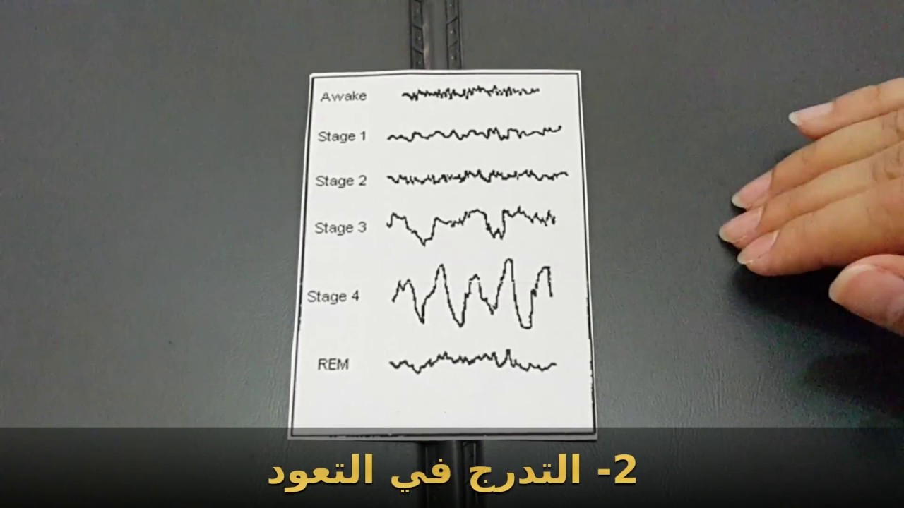 سلسلة النوم- ج 3- إزاي اتعود استيقظ باكرا