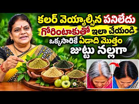 కలర్ వెయ్యాల్సిన పనిలేదు! గోరింటాకు, ఇండిగోతో తెల్లజుట్టుకు సహజ రంగు ఎలా వేయాలి? Dr Rajeswari