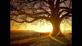 Seni Özlemek Ağır