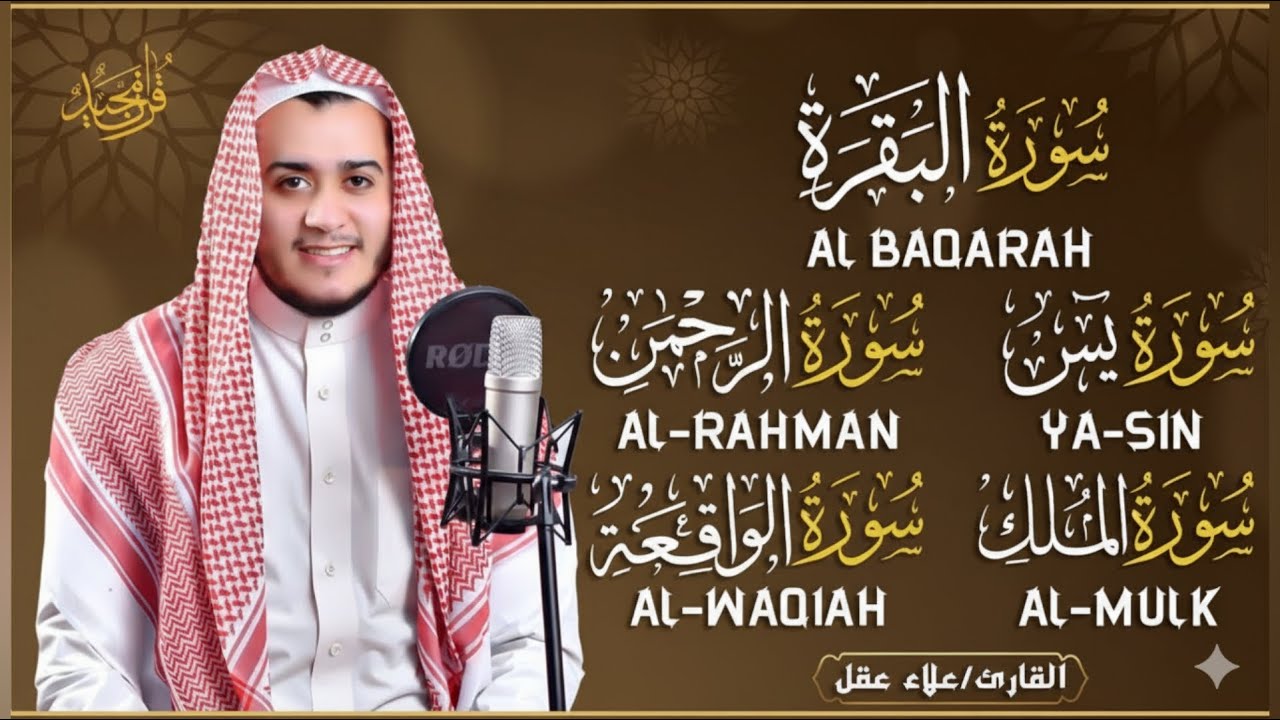 🌹 رقية شرعية للمنزل | تلاوة خاشعة لسور البقرة، يس، الواقعة، الملك، والرحمن بصوت الشيخ علاء عقل🌹