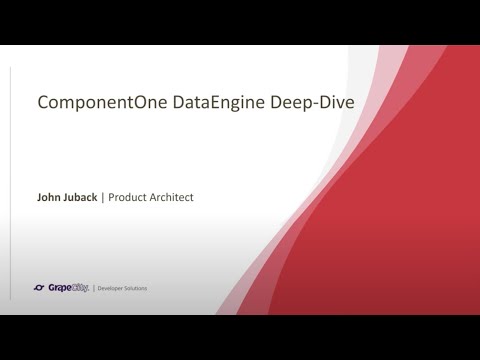 ComponentOne DataEngine Deep-Dive
