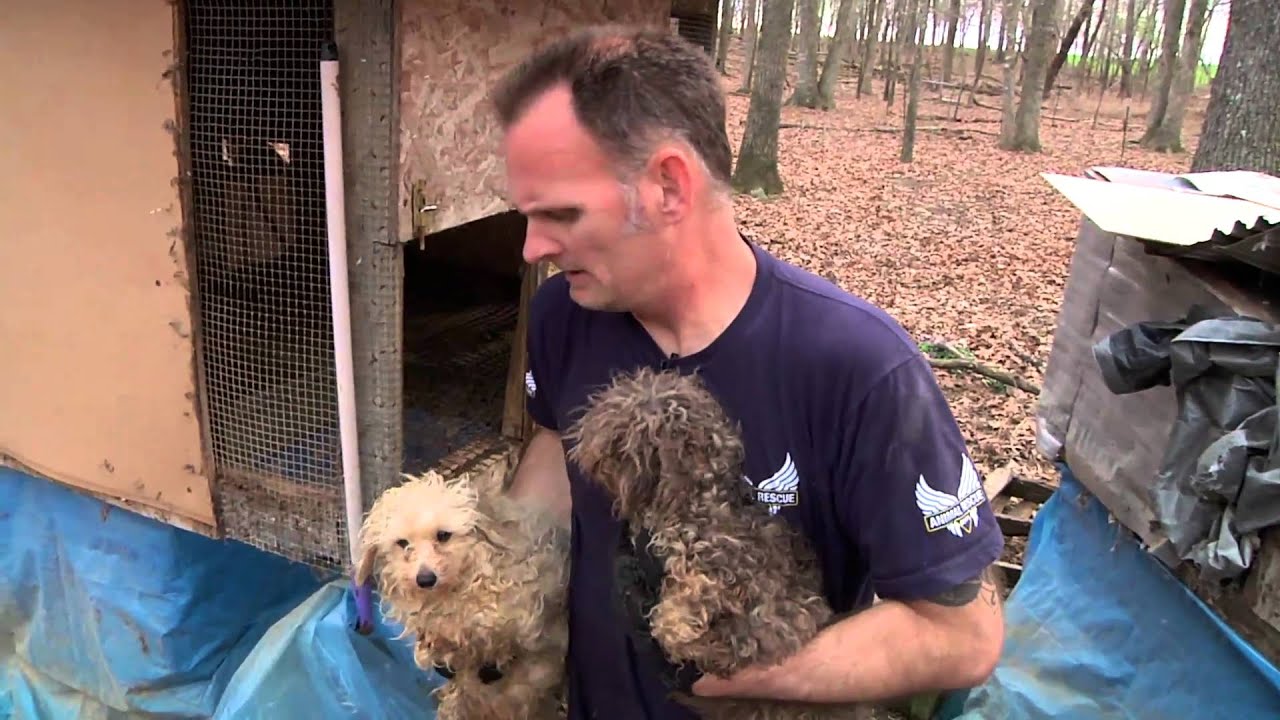 Warren County, TN Puppy Mill