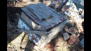 Beehive not opened for 20 years +