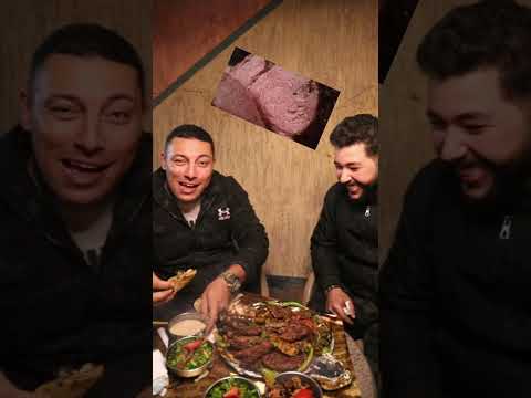 الديناصور عمل هبوط اضطراري عند مشويات مروان السورى