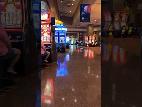 #jamul casino 🎰 #buffalo cash 💵 #bonus #pays #🦬🍀💵🎰❤️💰💕💶💷🧧😍
