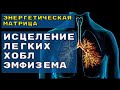 Полная реставрация | Легкие | ХОБЛ | Эмфизема | Бронхит | Звуковая Матрица Райфа, Шмидта