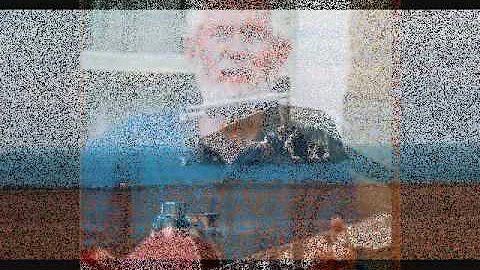 Jim Reid- The Greylag Geese, The Wild Geese (Norla...
