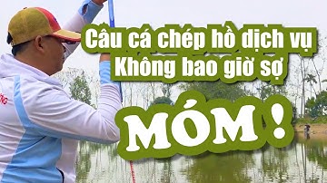 Câu cá chép hồ dịch vụ luôn được nhiều cá và không tốn tiền thì anh em nên biết điều này.