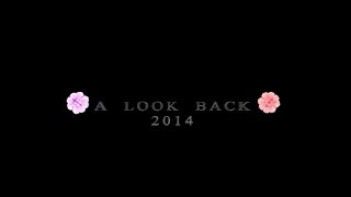 A Look Back 2014 - VINE FILMS