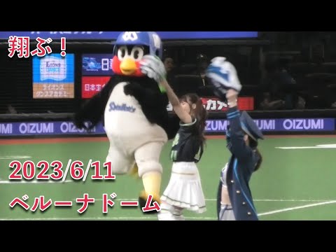 つば九郎、トレインダンスで翔ぶ！ 2023/6/11