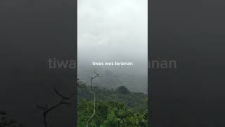 Download Lagu pelampiasan || nayla fardila || kurang bakoh pie kurang gemati kepriye #jawahits #jawa #lyricvideo MP3