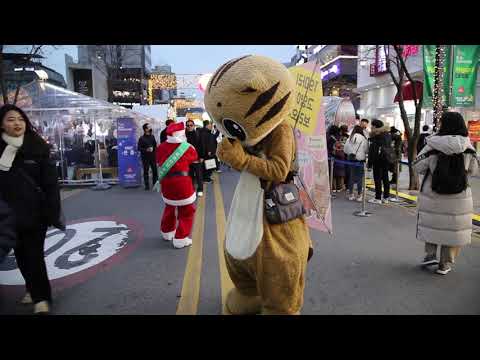 JHKTV] 신촌 명물고양이 이게뭘까 shin chon special <strong>cat</strong>  <strong>What</strong> is this