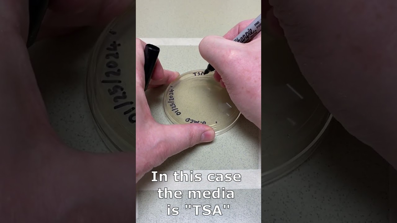 Agar plate introduction, labels, and tape