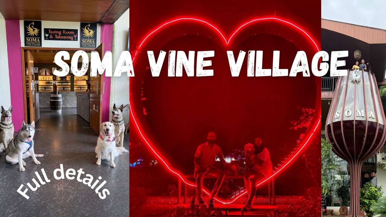 Soma Vine village | Tour, Details, and Expenses | Pet friendly | Nashik