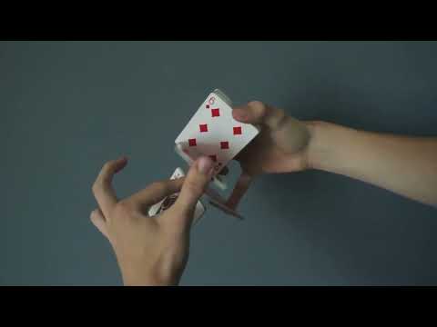 Acridid Cardistry Tutorial By Tobias Levin