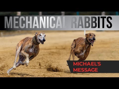 Mechanical Rabbits - YouTube