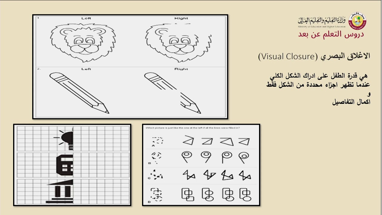 جلسة  العلاج الوظيفي   الإدراك البصري