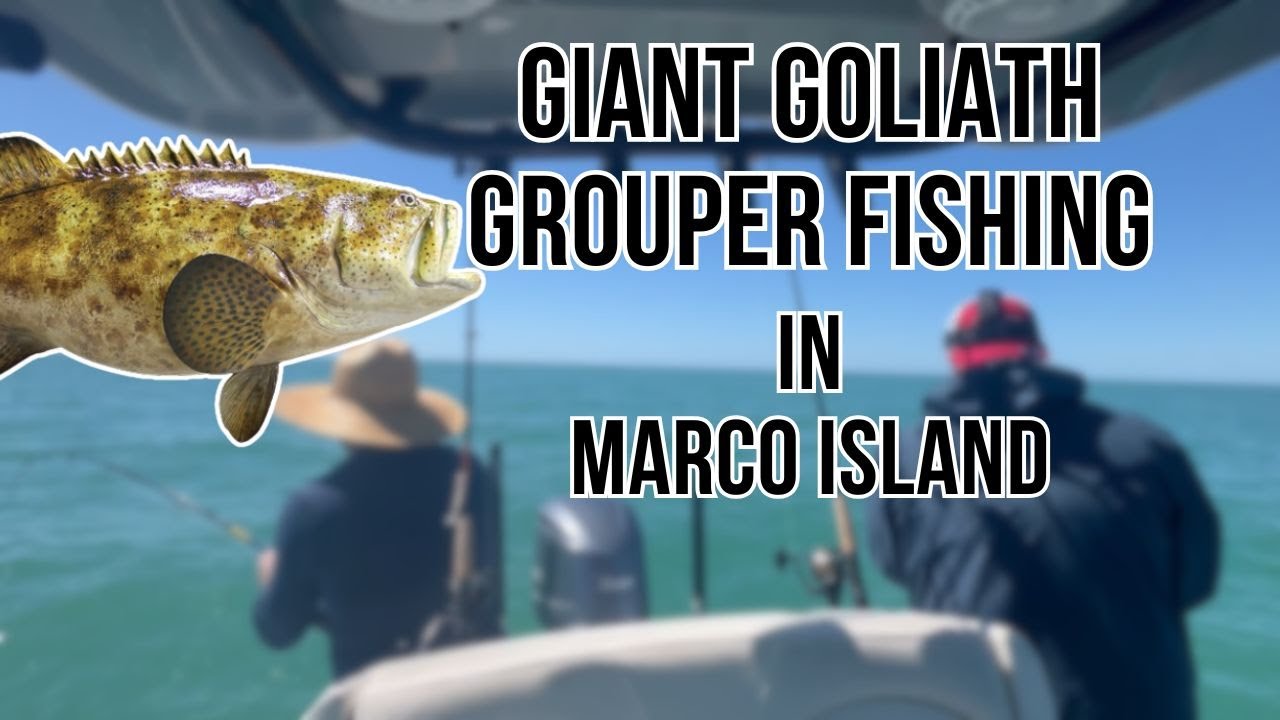 Catching a 200+ lbs of Goliath Grouper! | Short Version