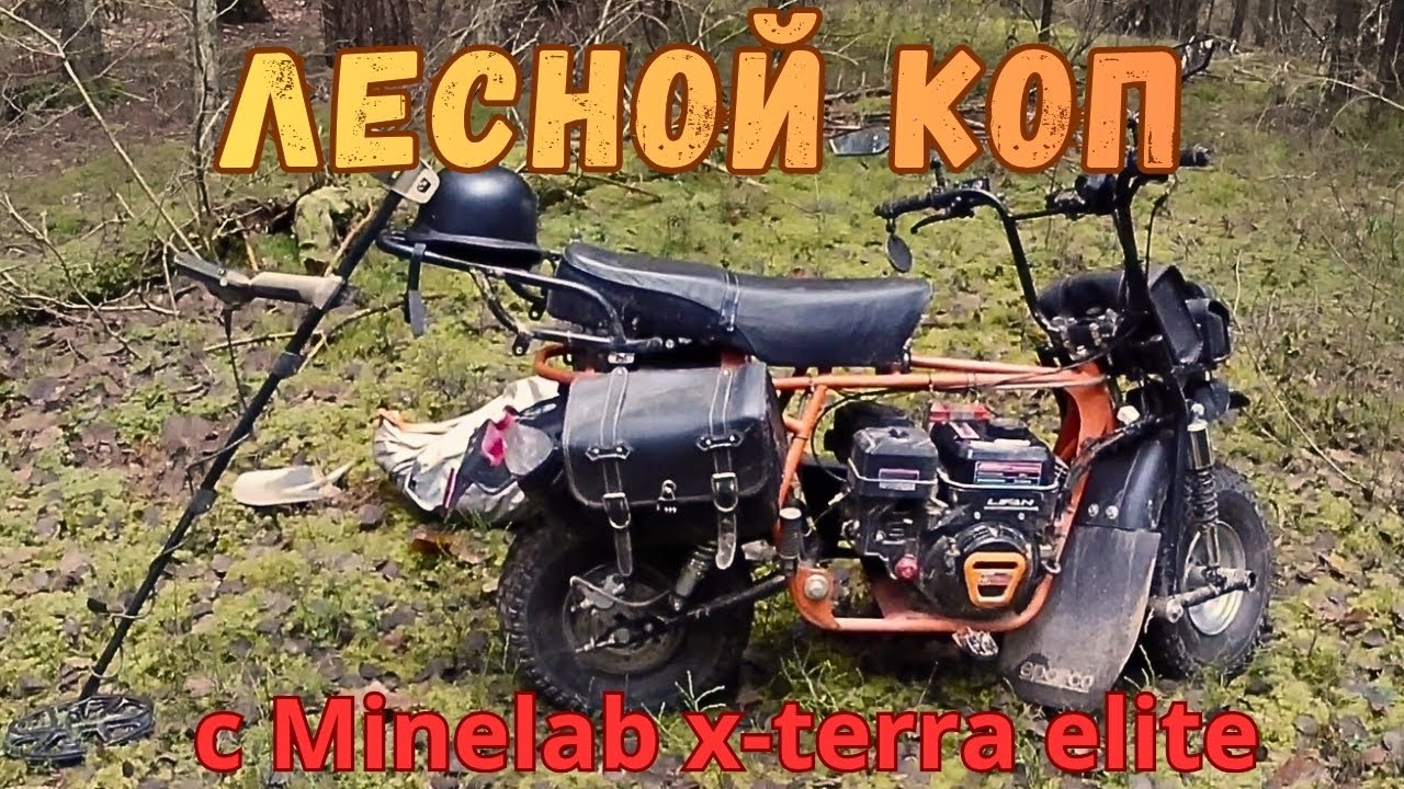 Выход в лес с Minelab x-terra elite 