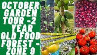 Celebrity October Garden Tour -2  Year Old Food Forest - Zone 9 Profile